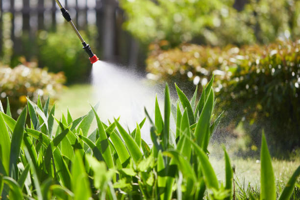 24/7 Emergency Termite Control experts in Orangetree, FL